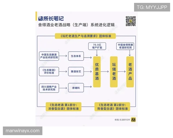居莱尔比赛表现与稳定性的提升路径分析
